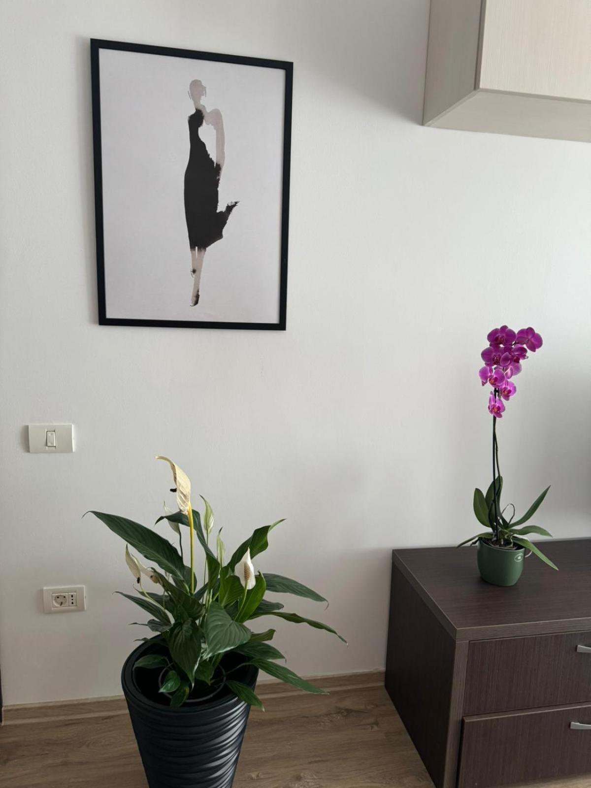 Apart Mihai Viteazu Residence Brasov Ngoại thất bức ảnh